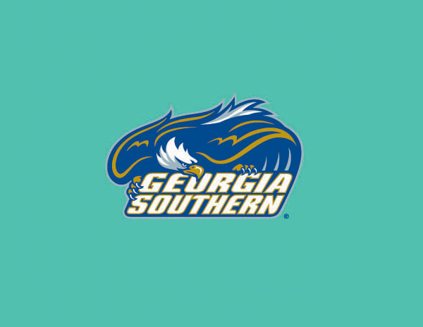 GEURGIASOUTHERN信息調查公司LOGO設計(jì)/