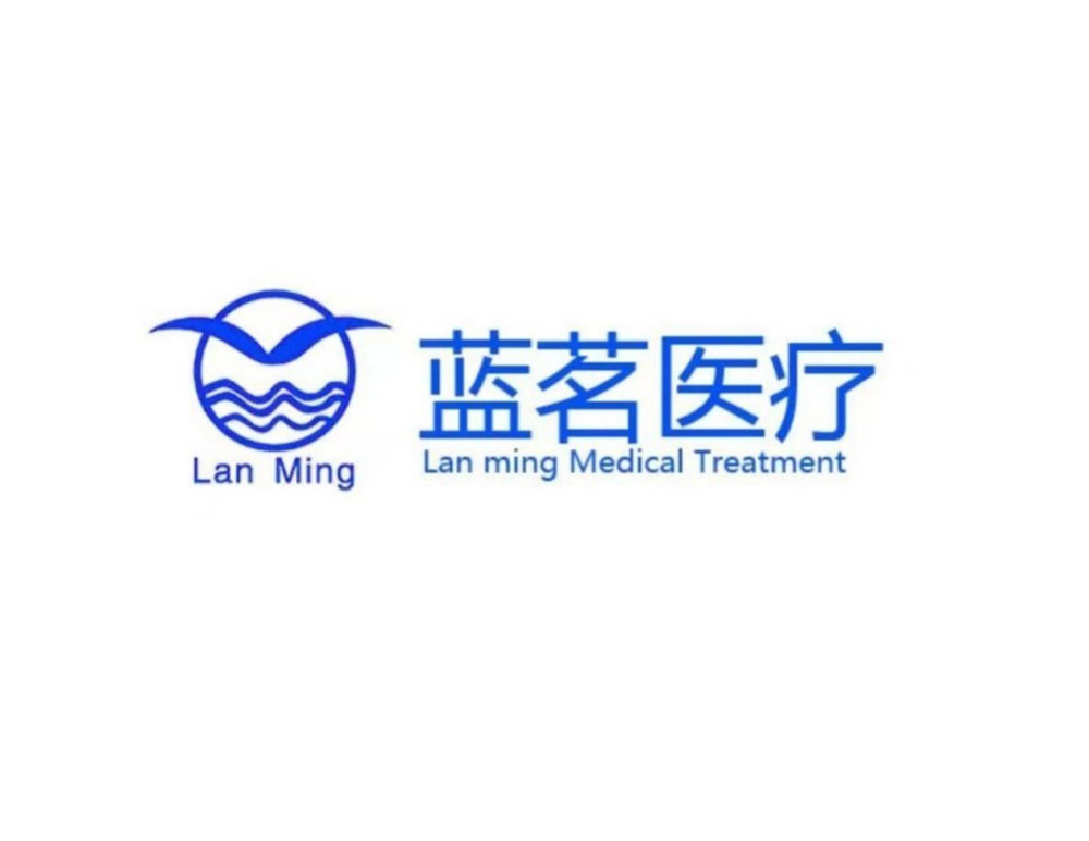 西(xī)安藍(lán)茗醫(yī)療科(kē)技(jì)有(yǒu)限公司LOGO設計(jì)介紹