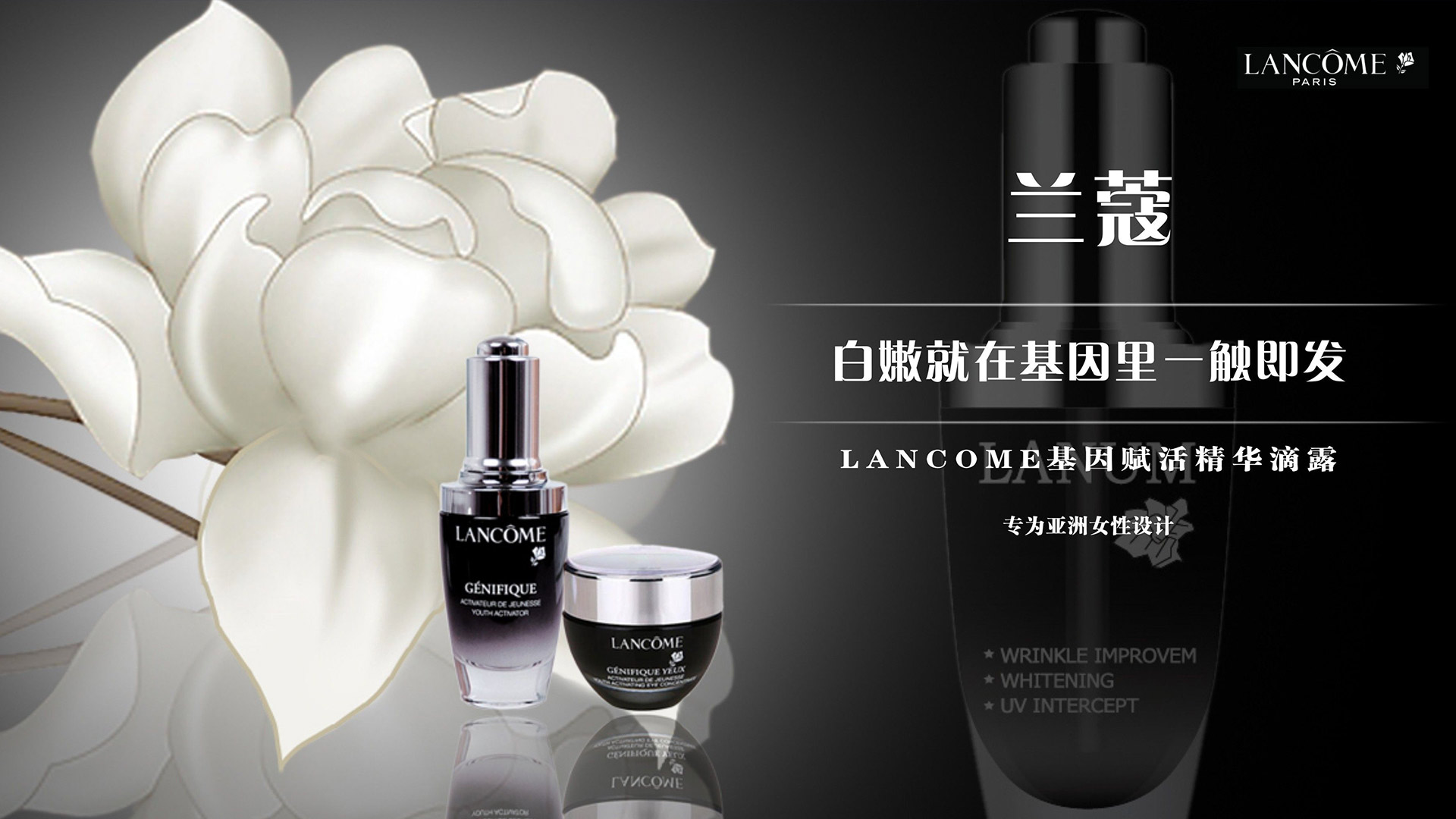 LANCOME蘭蔻産品包裝設計(jì)/