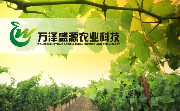 農(nóng)業(yè)科(kē)技(jì)公司标志(zhì)設計(jì)/